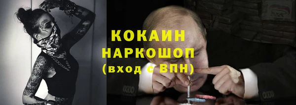 стафф Аркадак