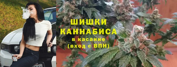 индика Абаза