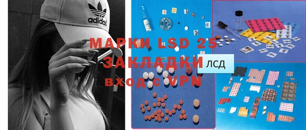 стафф Аркадак