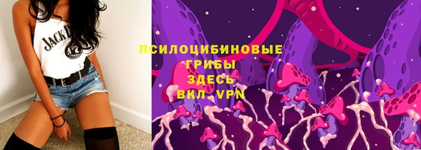 прущая мука Арсеньев